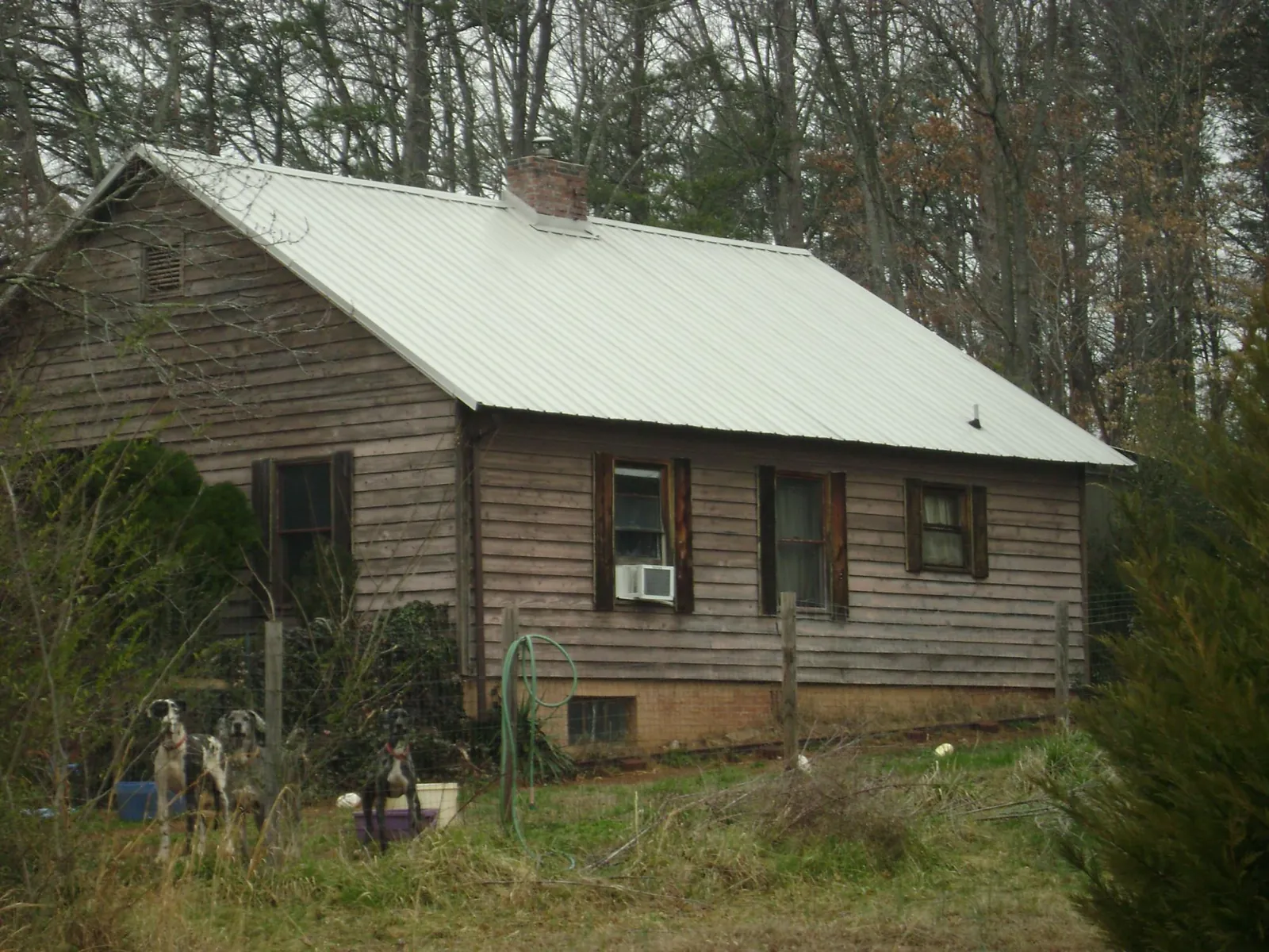 White metal roof on an old wood sided farmhouse, from a Asphalt Shingle Roof Repair job in Dundee